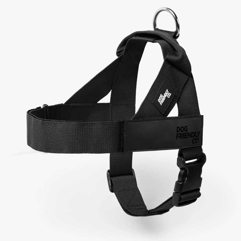 Dog Friendly Co. Harness - No-Pull Dog Harness – Lightweight, Adjustable & Comfortable Fit for All Dogs