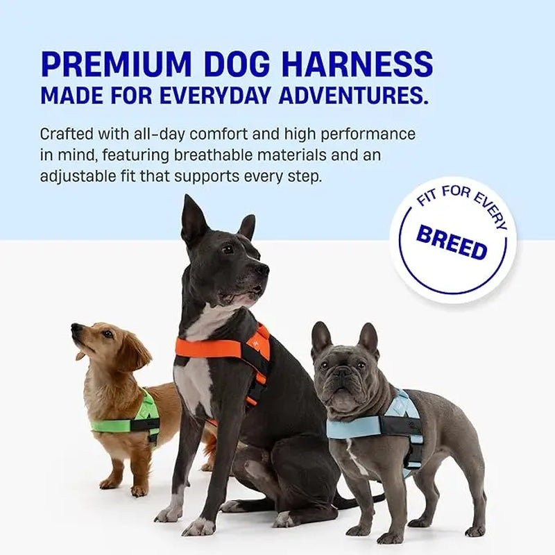 Dog Friendly Co. Harness - No-Pull Dog Harness – Lightweight, Adjustable & Comfortable Fit for All Dogs