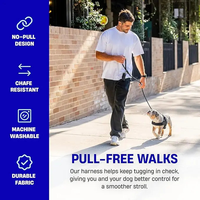 Dog Friendly Co. Harness - No-Pull Dog Harness – Lightweight, Adjustable & Comfortable Fit for All Dogs