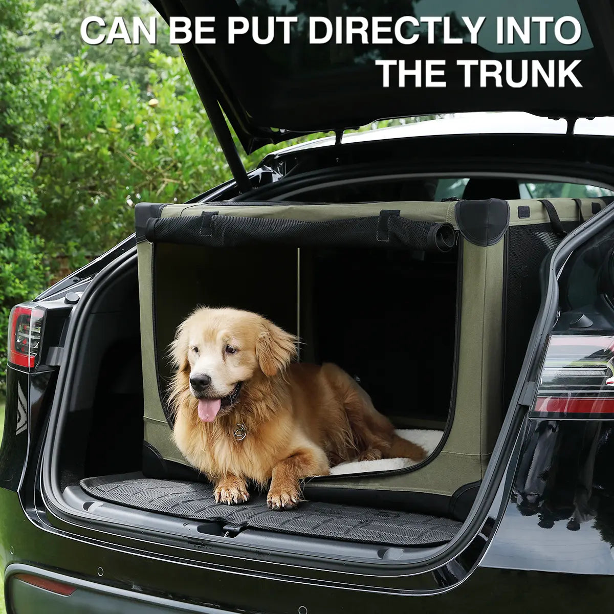 Collapsible Soft Dog Crate – 4-Door Portable Travel Kennel for Medium & Large Dogs (Up to 60 lbs)