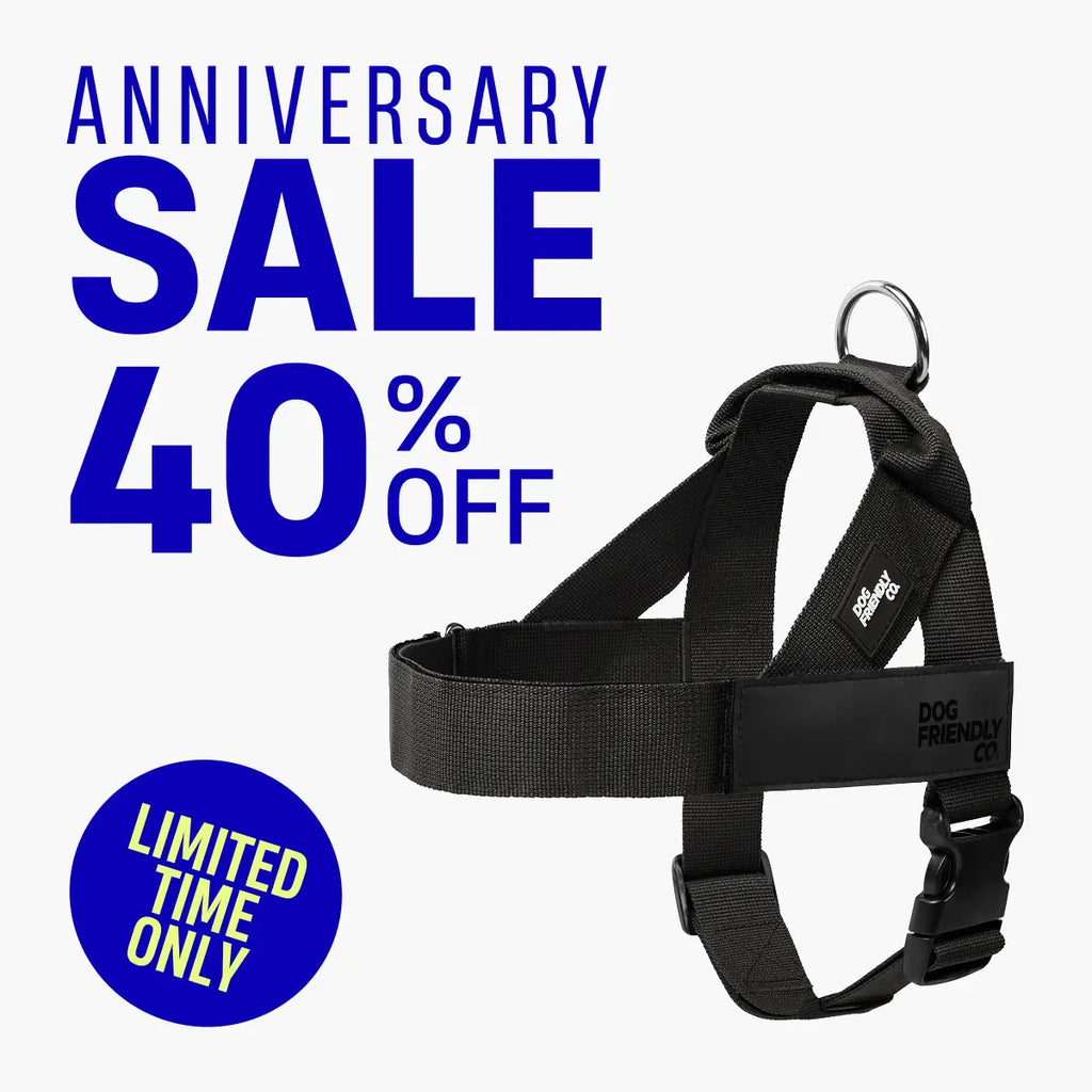 Dog Friendly Co. Harness - No-Pull Dog Harness – Lightweight, Adjustable & Comfortable Fit for All Dogs