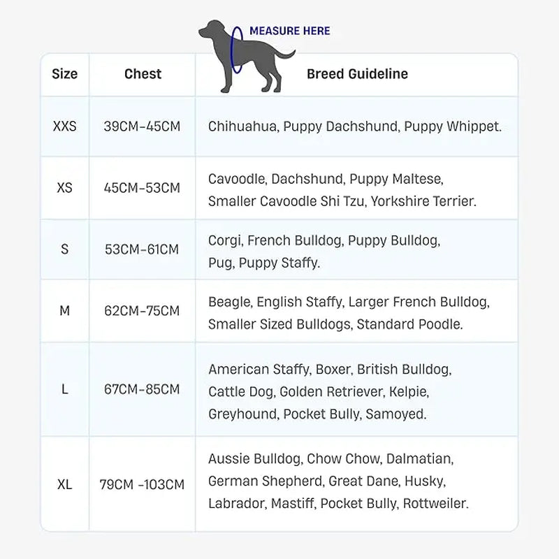 Dog Friendly Co. Harness - No-Pull Dog Harness – Lightweight, Adjustable & Comfortable Fit for All Dogs